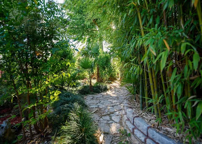 Botanica *