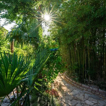 Botanica *
