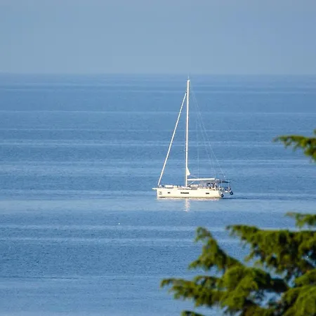 Botanica Будинок відпочинку *